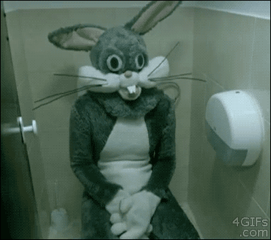 Please Help My Friend Win.  Just Click And Reblog Www.Kiss108.Com/T/?Uy GIF - Bunny Bathroom Creepy GIFs