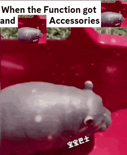 a hippopotamus is standing on a red surface with a caption that says `` when the function got accessories '' .