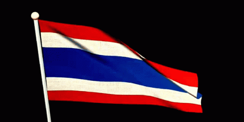 สยาม ธงไทย GIF - สยาม ธงไทย Flag GIFs