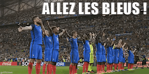 a group of soccer players on a field with the words allez les bleus