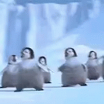 Happy Feet Tap Dancing GIF - Happy Feet Tap Dancing Penguins GIFs