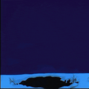 a blue owl is on the cover of rush 's album