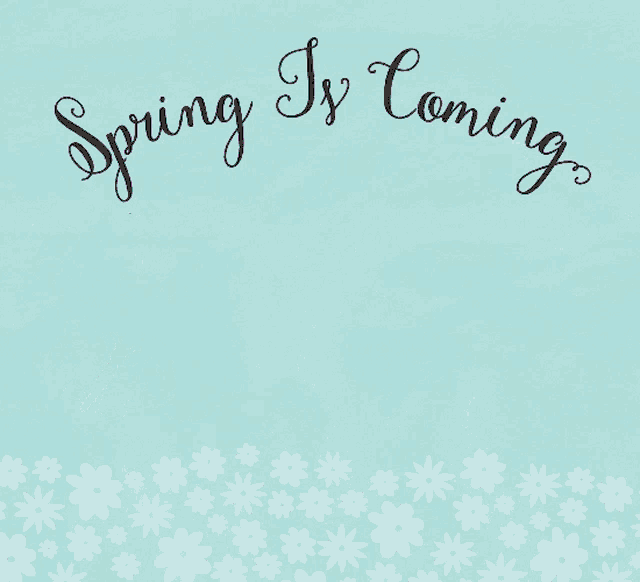 Springtime Itsspring GIF - Springtime Itsspring GIFs