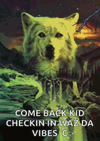 a wolf is standing in front of a waterfall with the words come back kid checkin in waz da vibes c