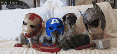 Pug Avengers GIF - Avengers Funny Super Dogs GIFs