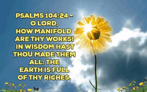 a yellow flower with the words psalms 104:24 - o lord how manifold are thy works in wisdom hast thou made them all