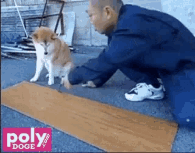 a man and a dog are playing with a piece of wood .