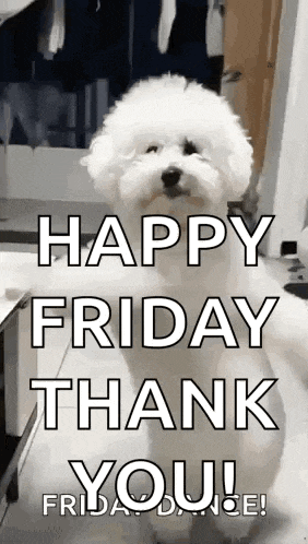 a small white dog is sitting in front of a sign that says `` happy friday thank you '' .