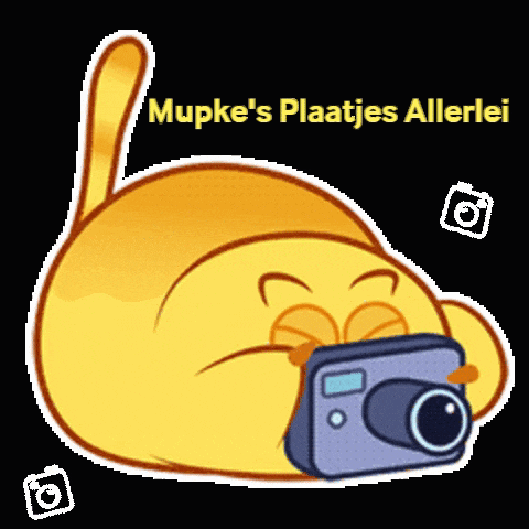 a sticker of a cat taking a picture with the caption mupke 's plaatjes allerlei