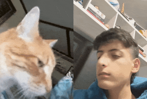 a close up of a cat looking at a man 's face
