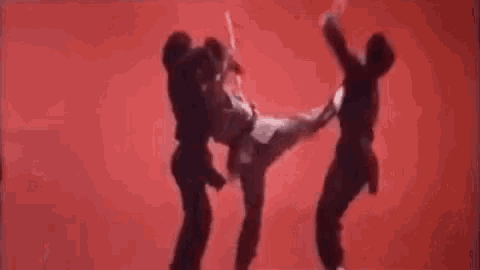 The Thundering Mantis Martial Arts GIF - The Thundering Mantis Martial Arts Fight GIFs