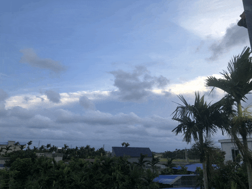a cloudy sky with palm trees in the foreground and a blue roof in the background