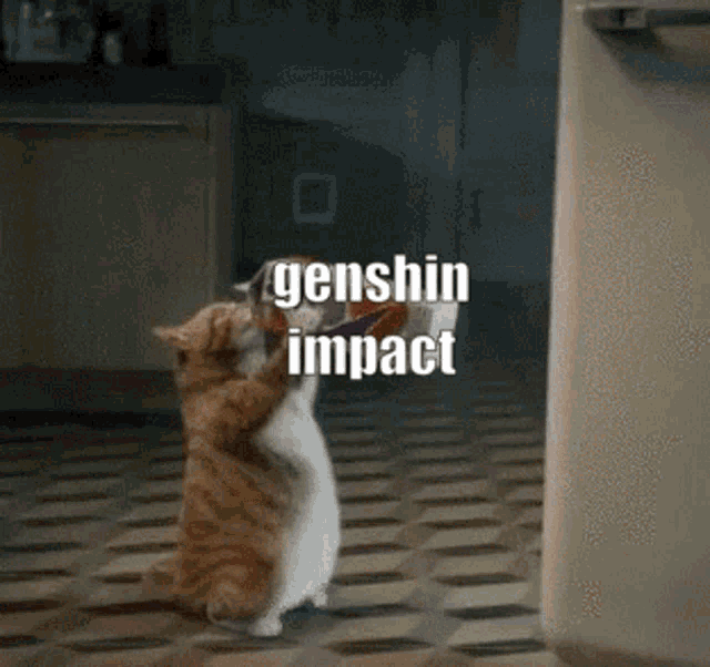 Genshin Impact GIF - Genshin Impact Bad GIFs