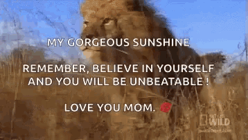 a picture of a lion with the words my gorgeous sunshine remember , believe in yourself and you will be unbeatable