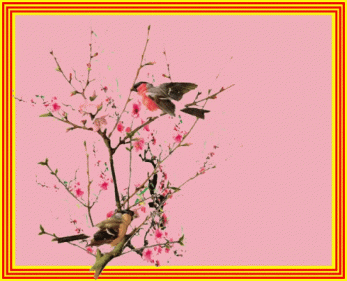 two birds are sitting on a tree branch with flowers and the year 2019