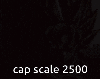 a picture of a cartoon character with the words cap scale 2500
