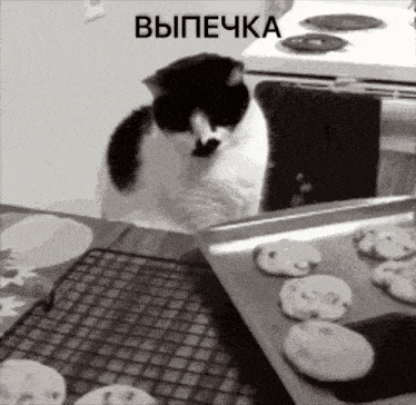 a black and white cat is looking at a tray of cookies with the word выпечка above it