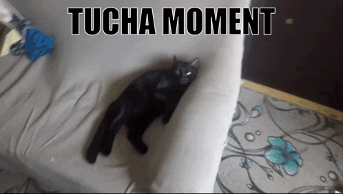 a black cat laying on a couch with the words " tucha moment " written above it