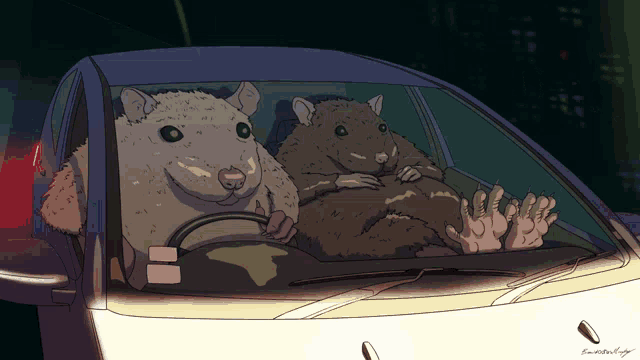 Rat Rats GIF - Rat Rats Drive GIFs