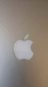Apple Steve Jobs GIF - Apple Steve Jobs Amazing GIFs