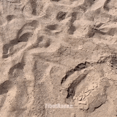 a close up of a sandy surface with tibetraenn written in the upper right corner
