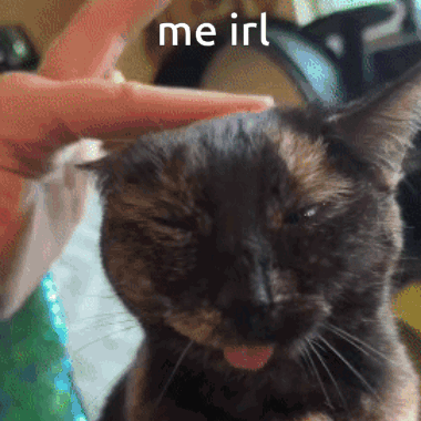 Me Irl Kitty GIF - Me Irl Kitty Cat GIFs
