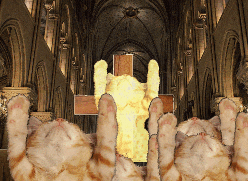 a cat 's paws are reaching up towards a cross in a church