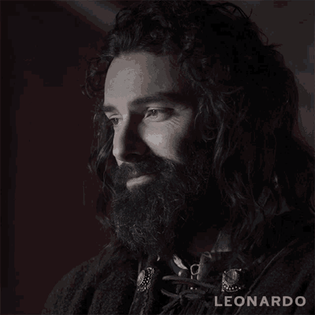 a man with long hair and a beard has the name leonardo on the bottom right