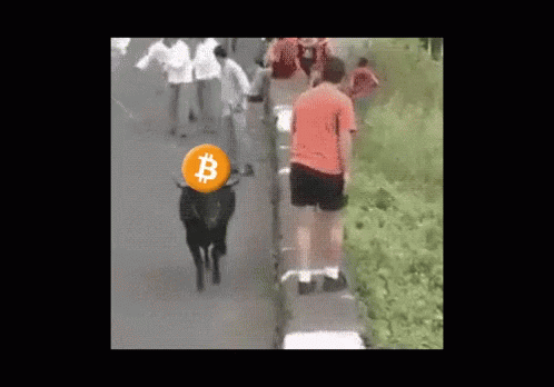 Bitcoin Bull GIF