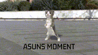 a cat is standing on its hind legs in front of a sign that says " asuns moment "