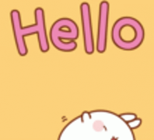 Hello Hi GIF - Hello Hi Bunny GIFs