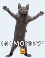 a gray cat is standing on its hind legs with its arms outstretched and the words `` go monday '' .