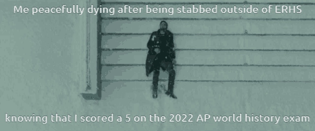 a man is laying in the snow with the words " me peacefully dying after being stabbed outside of erhs " above him