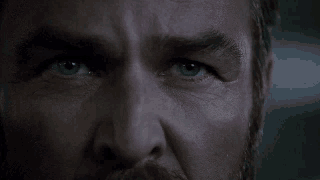 a close up of a man 's eyes with a beard