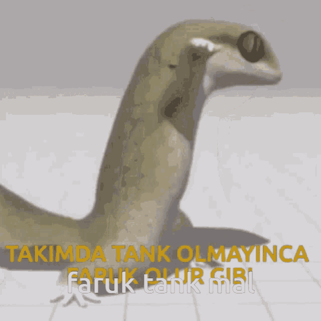 Faruk Tank GIF - Faruk Tank Mal GIFs