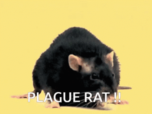 Antivaxxer Plague Rat GIF - Antivaxxer Plague Rat GIFs