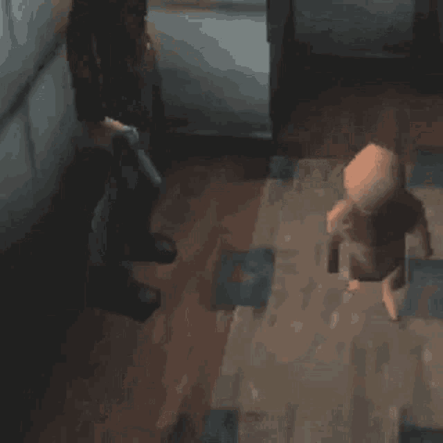 a dog is walking down a wooden floor in a room .
