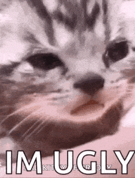 a close up of a cat 's face with the words `` i 'm ugly '' written on it .