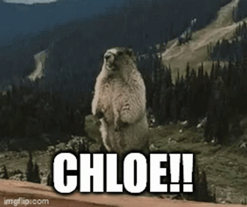 Chloe Beaver GIF - Chloe Beaver GIFs
