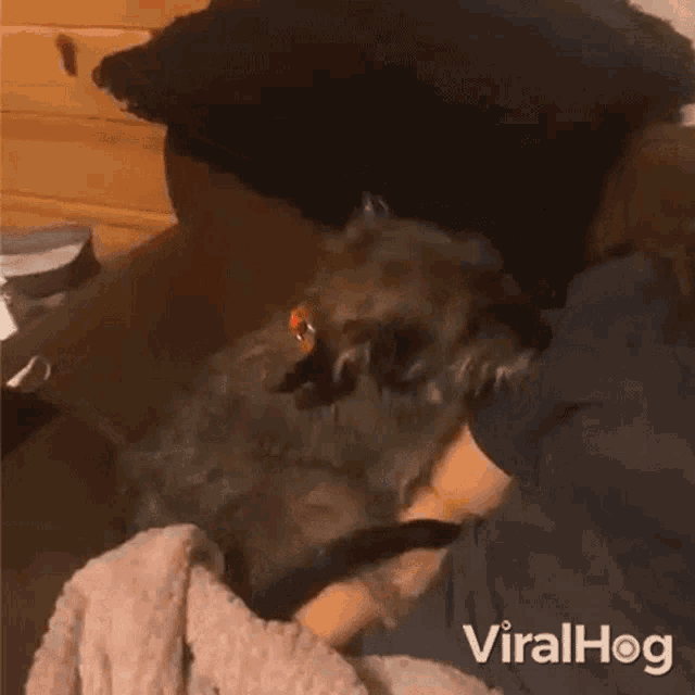 I Dont Want To Talk To You Viralhog GIF - I Dont Want To Talk To You Viralhog Dont Talk To Me GIFs