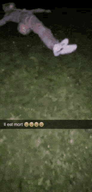 a snapchat of a person falling in the grass with a caption that says il est mort