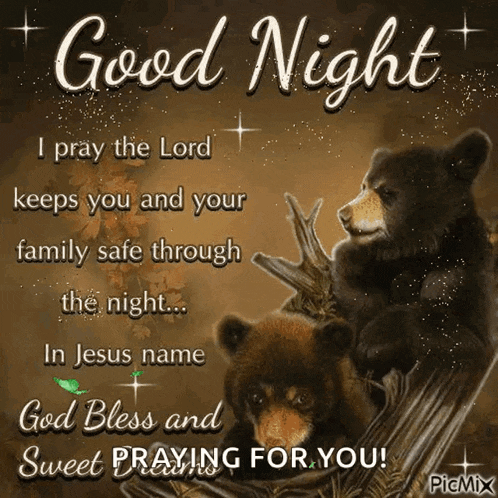 a couple of bears are sitting on a tree branch with a good night message