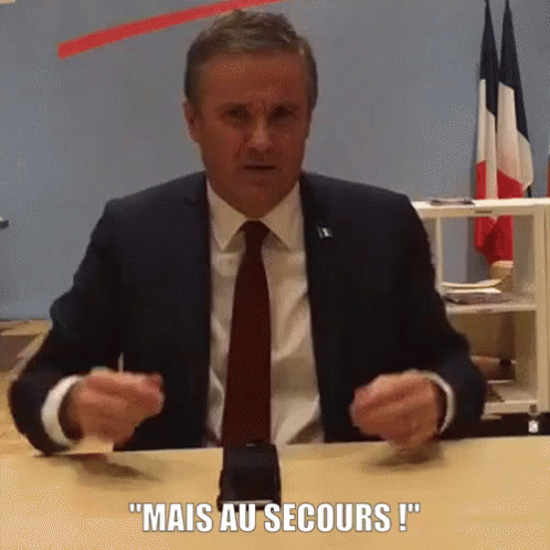 Mais Au Secours ! GIF - Au Secours Nicolas Dupont Aignan GIFs