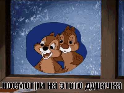 a cartoon of two squirrels looking out a window with the words " посмотри на этого дурачка " below them