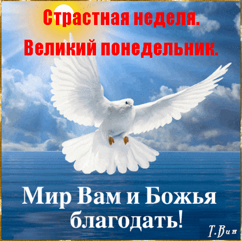 a white dove is flying over a body of water with the words " мир вам и божья благодать "