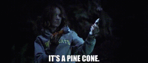 The Package Sarah GIF - The Package Sarah Its A Pine Cone GIFs