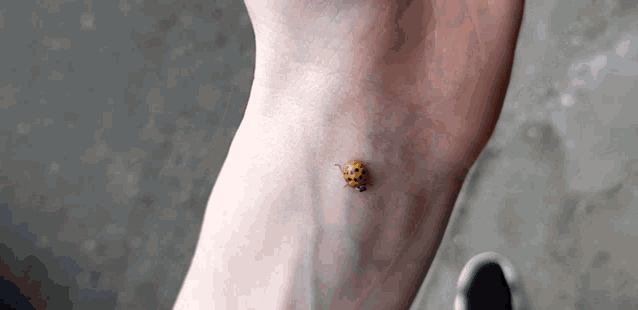 a ladybug is crawling on the wrist of a person 's hand
