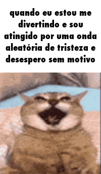 a cat is sitting on a bed with a caption that says quando eu estou me divertindo