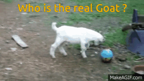 a picture of a goat playing with a ball with the words who is the real goat above it