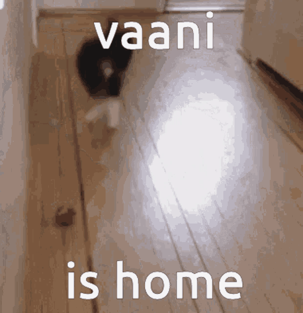 Vaani Is Home Vaani Came Home GIF - Vaani Is Home Vaani Came Home Iamvoice Came Home GIFs